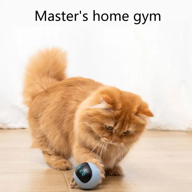 Smart Cat Toy USB Rechargeable Kitten Automatic Ball Toys Electric Jumping Ball Self Rotating Toys for Cat Kitten Dog Puppy Kids