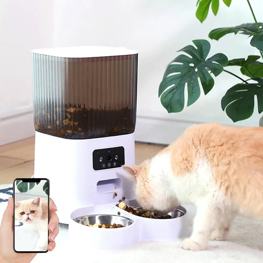 Pet Smart Feeder App Two-Way Video Language Translator